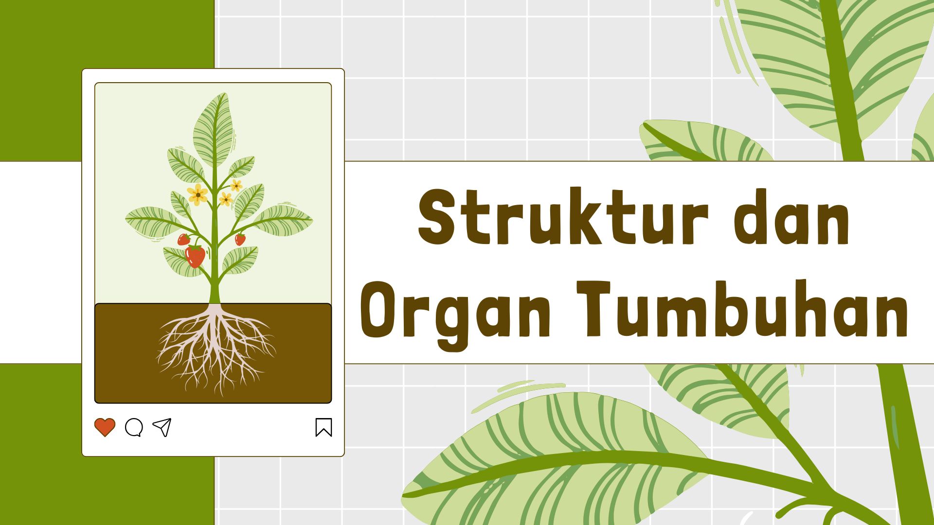 IPA KELAS 8 SMP - 220351611467