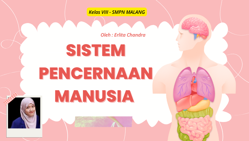 IPA Kelas 8 - Sistem Pencernaan Manusia 